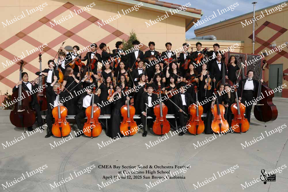 Musical Images